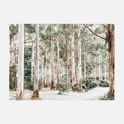 Bush Clearing
