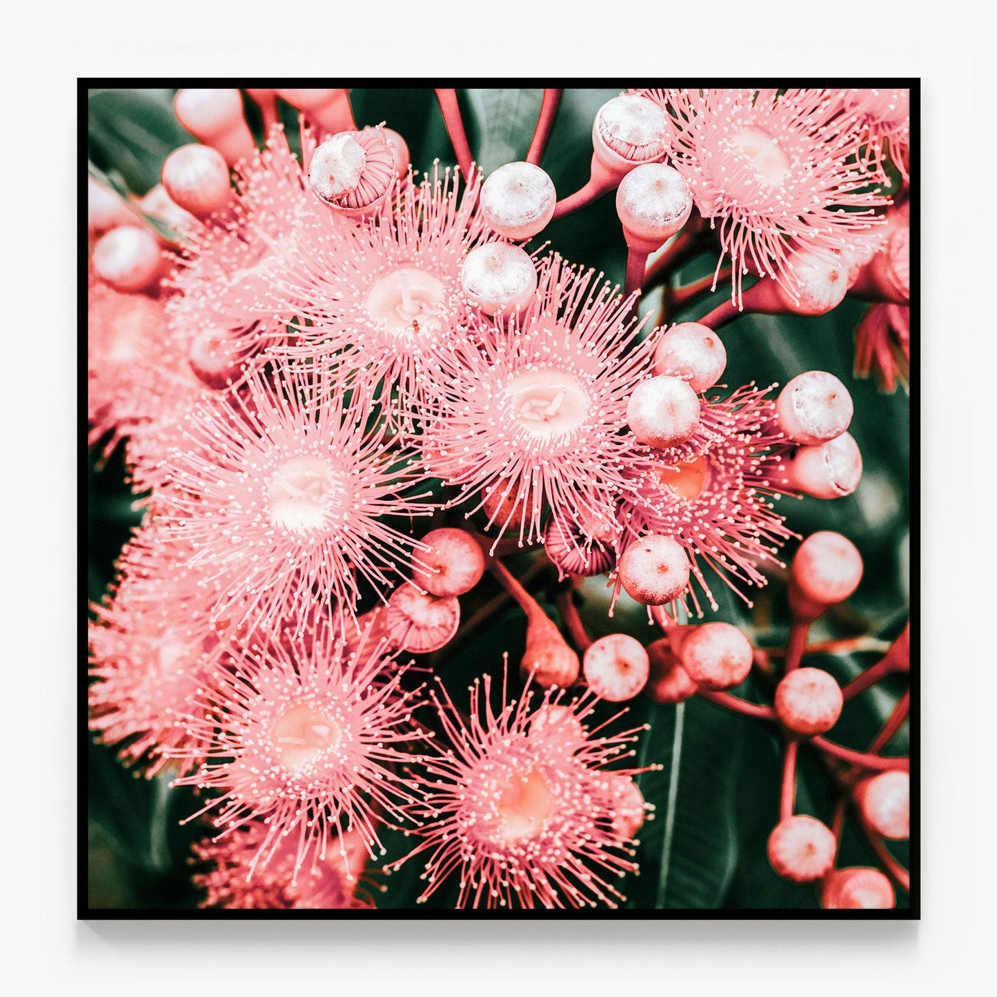 Bush Florals Canvas