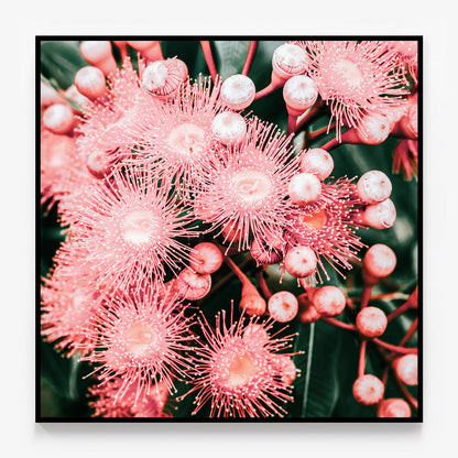 Bush Florals Canvas