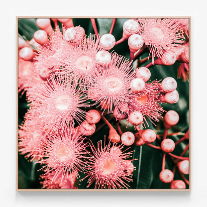 Bush Florals Canvas print in oak frame