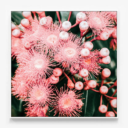 Bush Florals Canvas