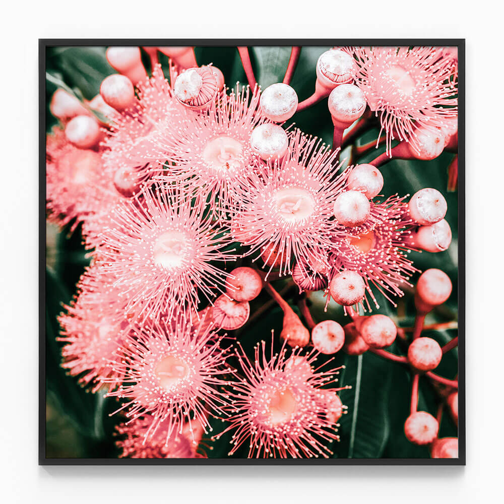 Bush Florals
