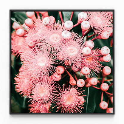 Bush Florals