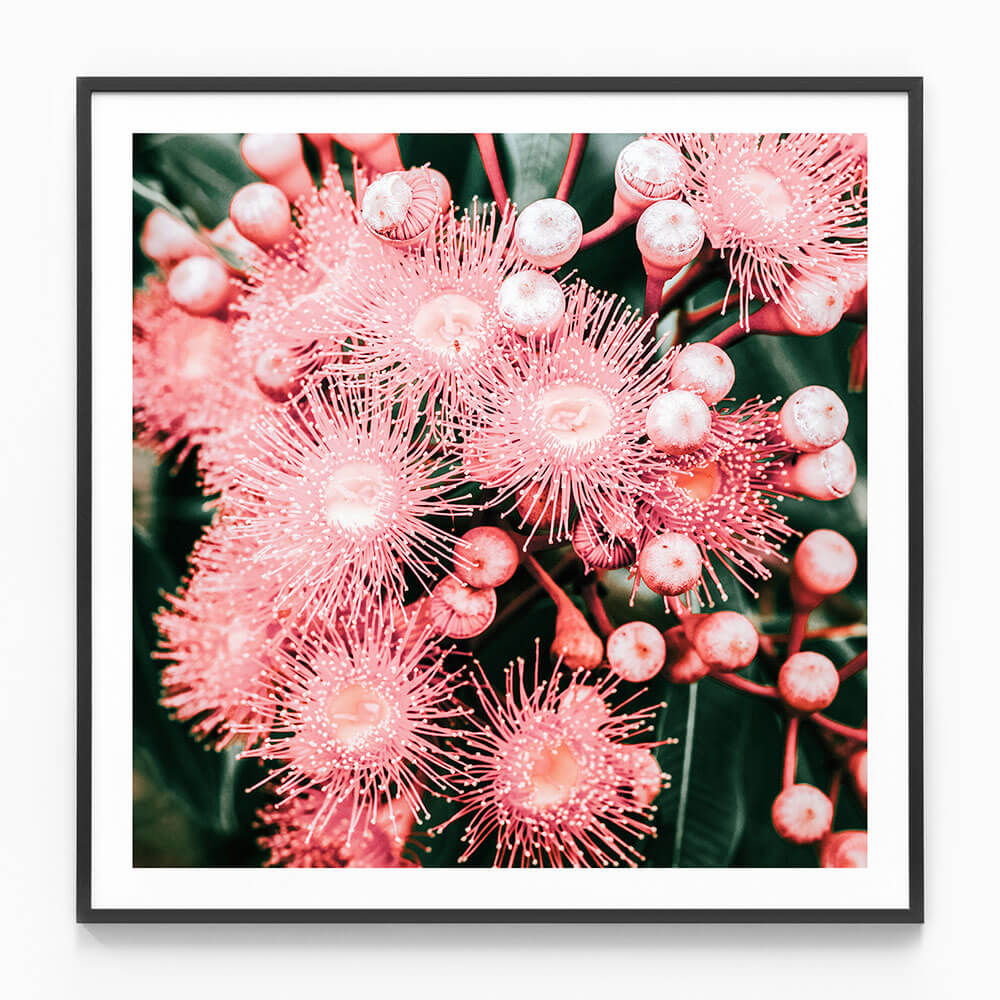 Bush Florals