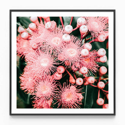 Bush Florals