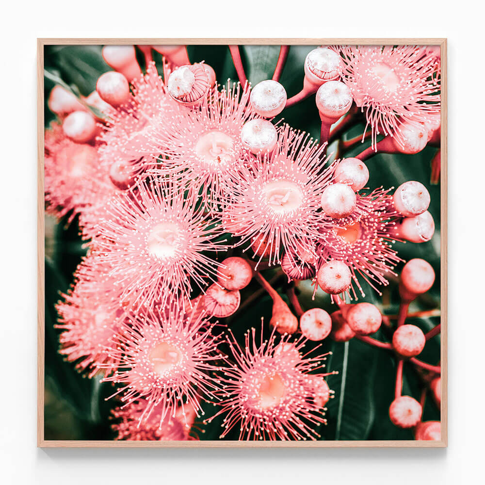 Bush Florals