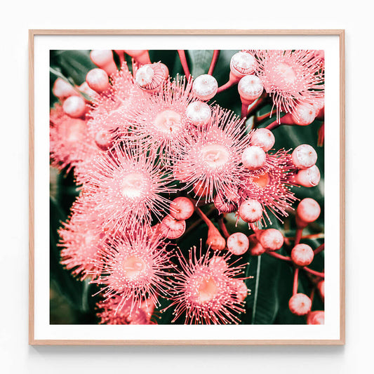 Bush Florals