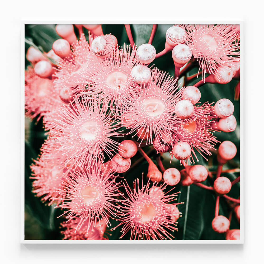 Bush Florals