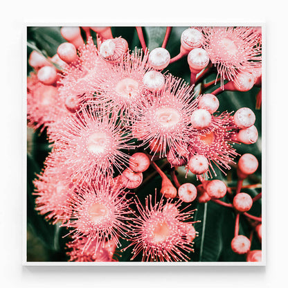 Bush Florals