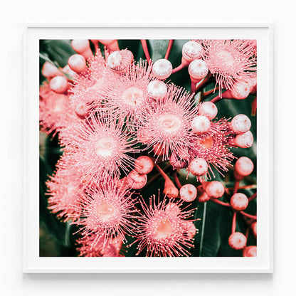 Bush Florals