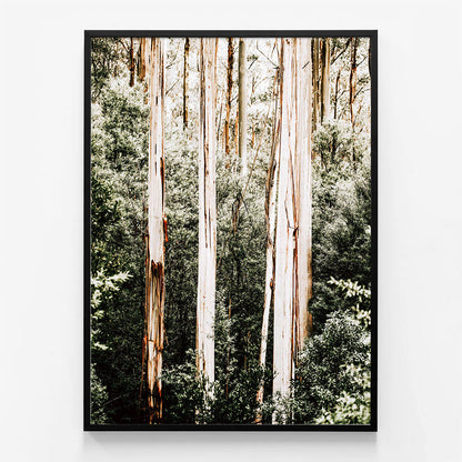 Bush Foliage