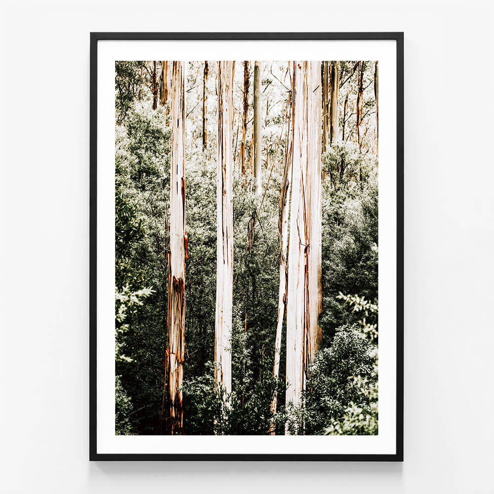 Bush Foliage