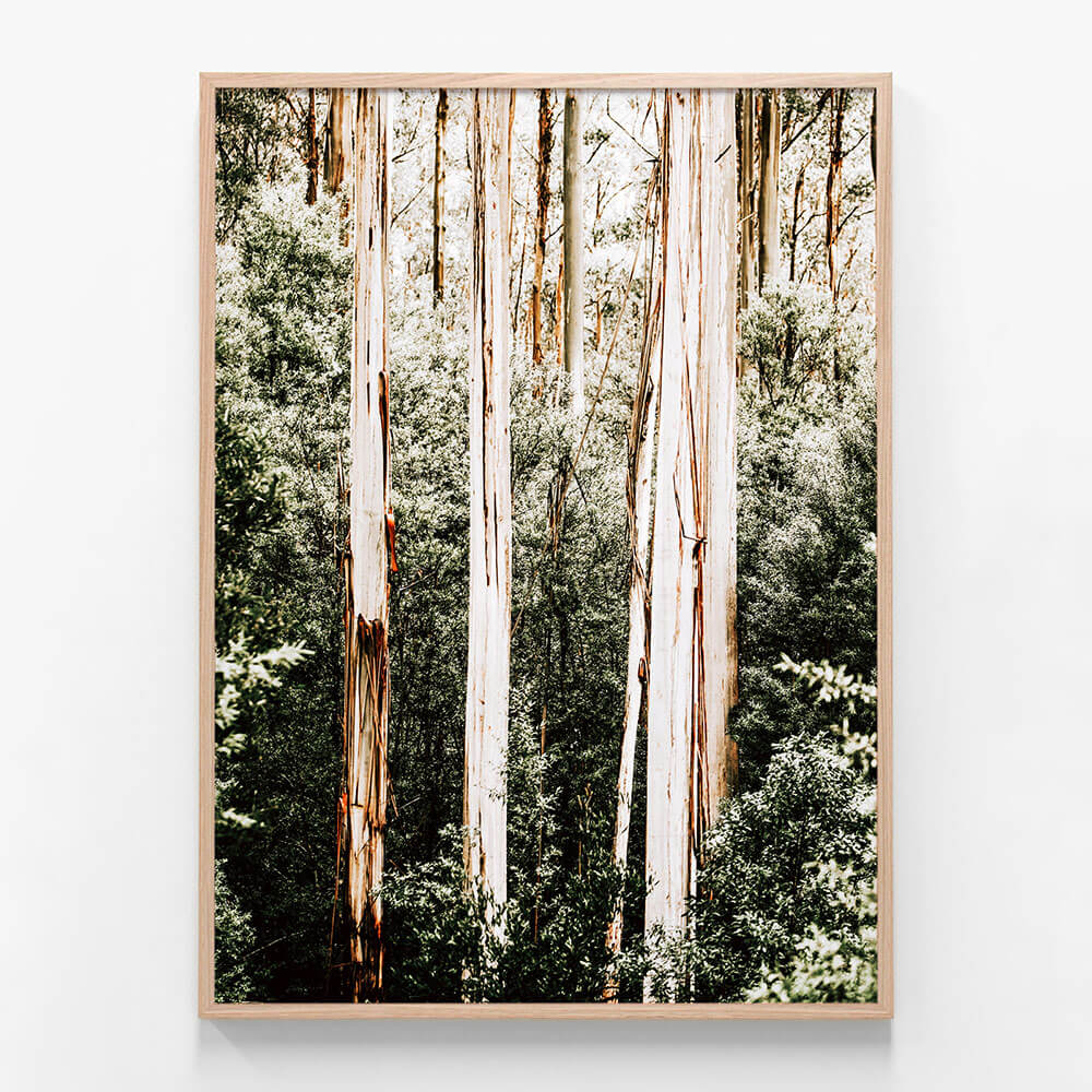 Bush Foliage