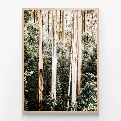 Bush Foliage