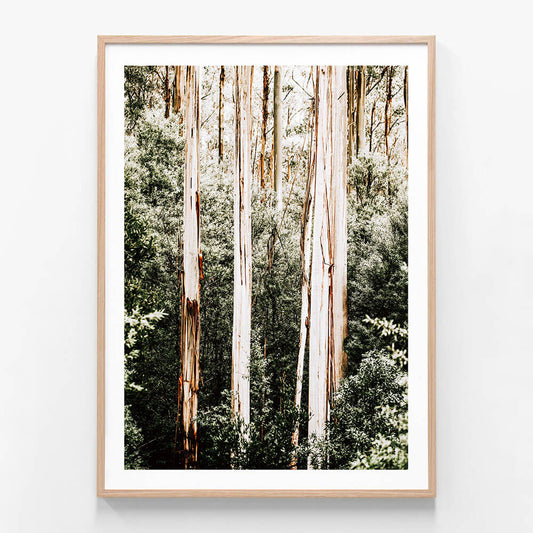 Bush Foliage