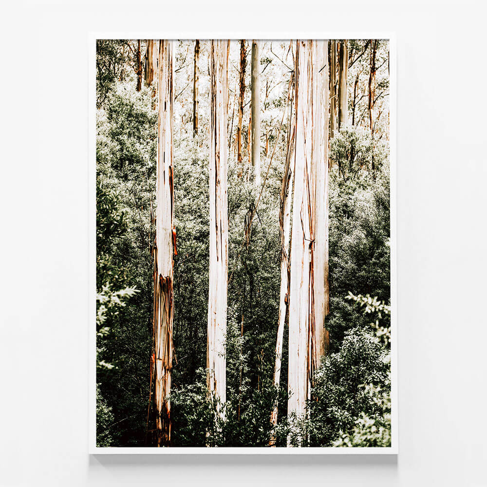 Bush Foliage
