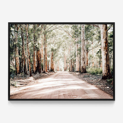 Bush Road