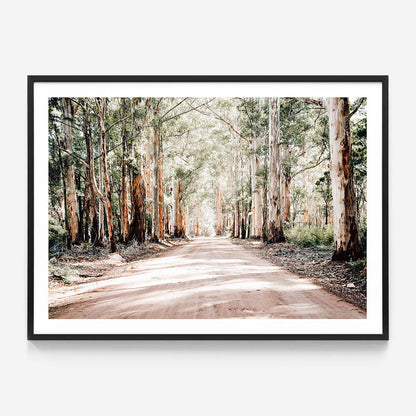Bush Road