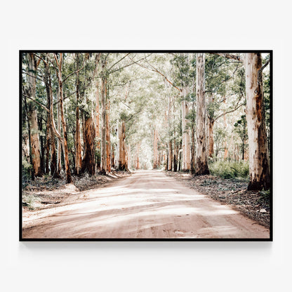 Bush Road Canvas