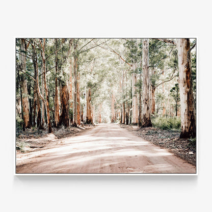 Bush Road Canvas