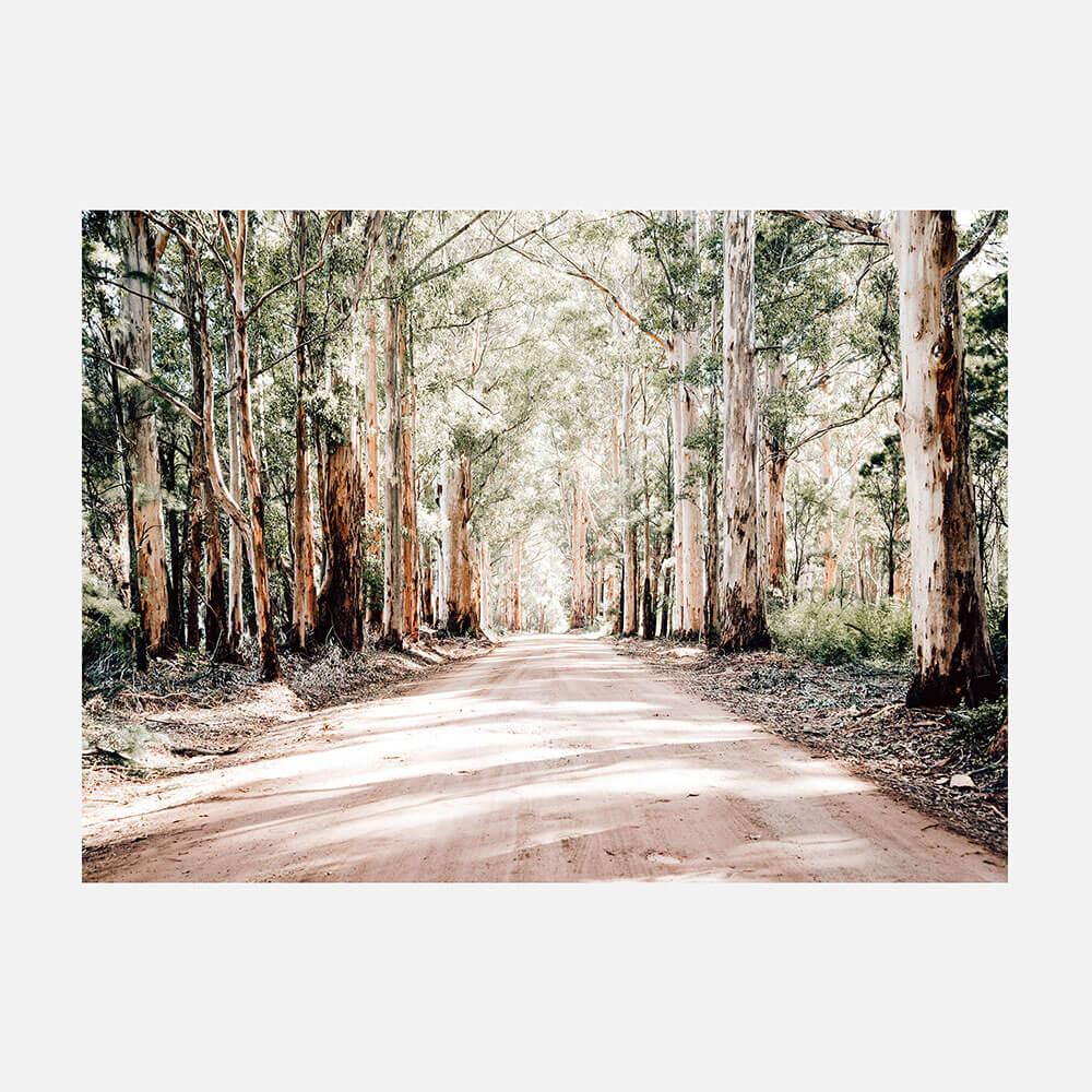 Bush Road