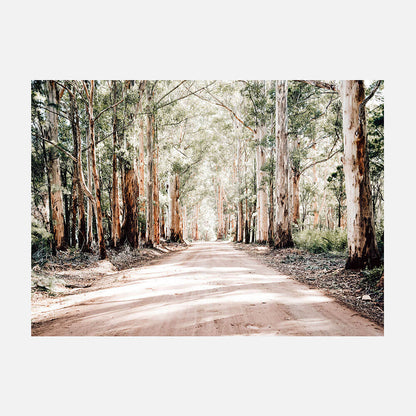 Bush Road