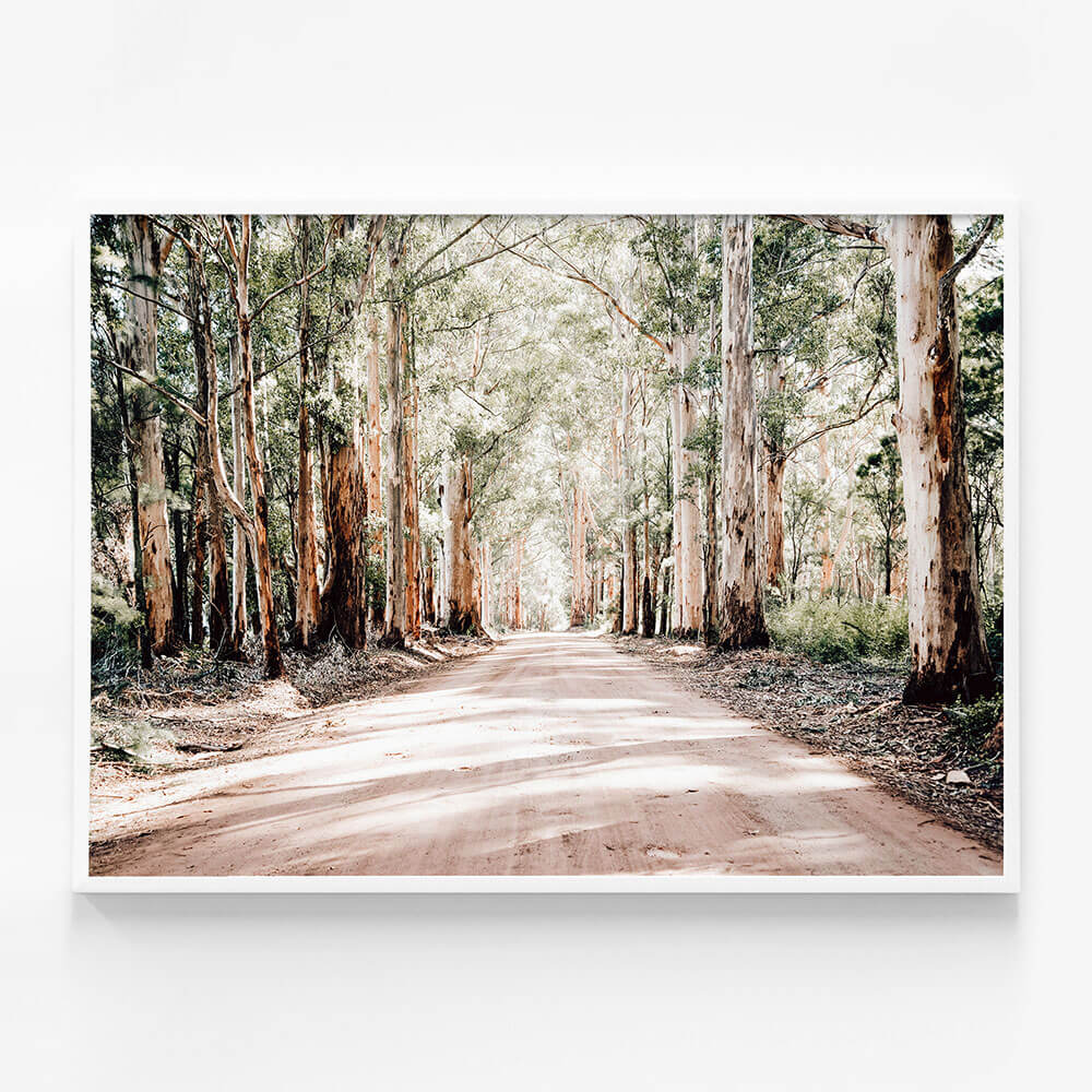 Bush Road