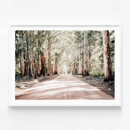 Bush Road