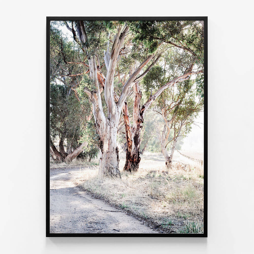 Bush Track