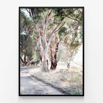 Bush Track