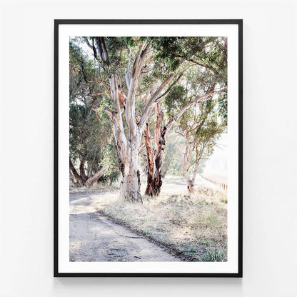 Bush Track
