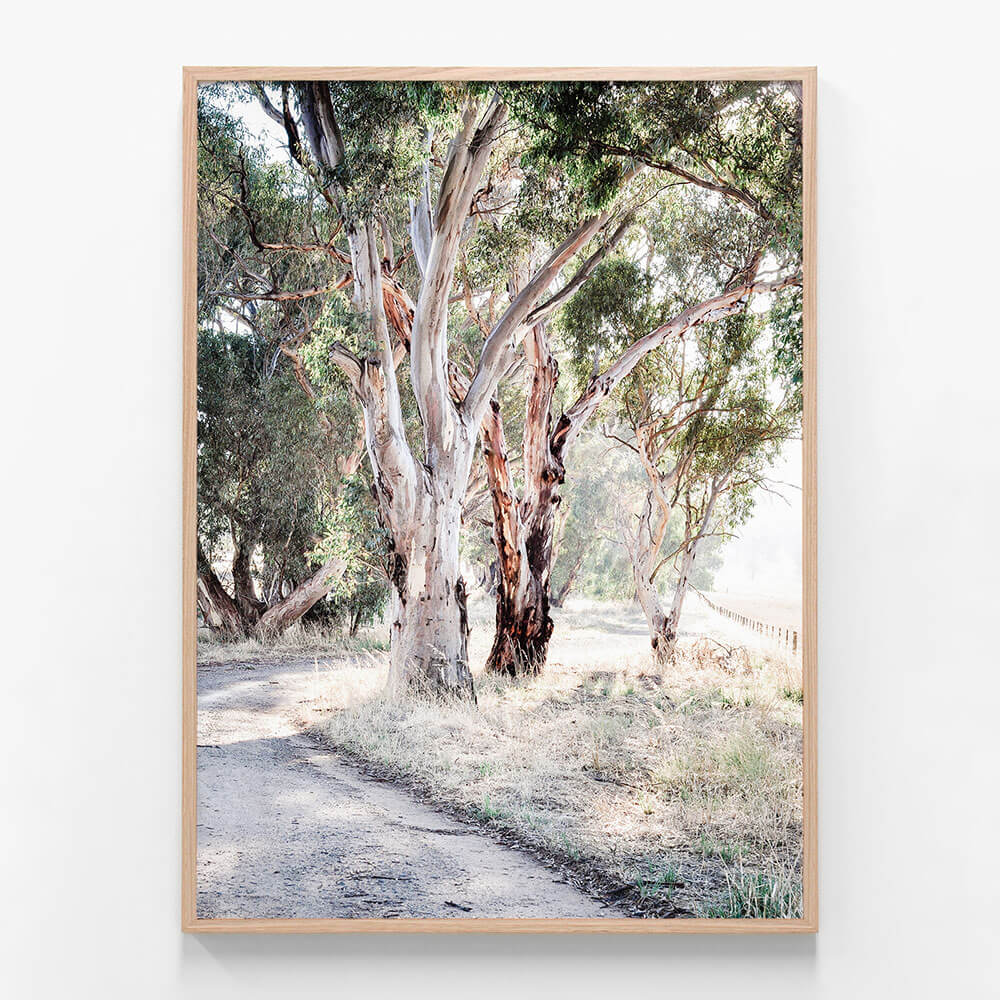 Bush Track