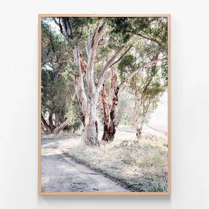 Bush Track