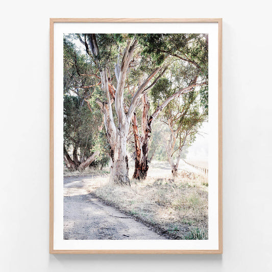 A framed photo print featuring a bush track through an Australian landscape.