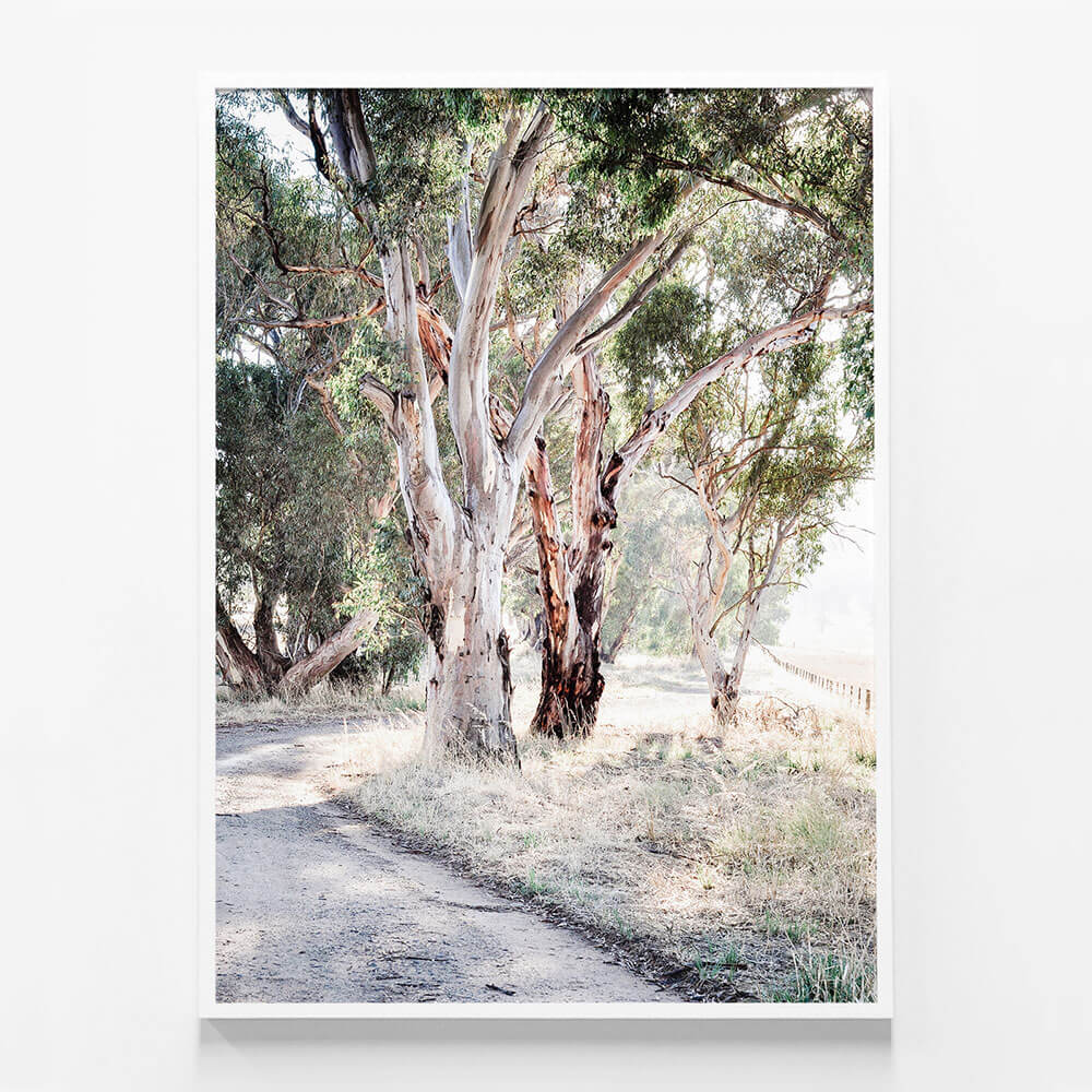 Bush Track