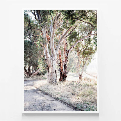 Bush Track