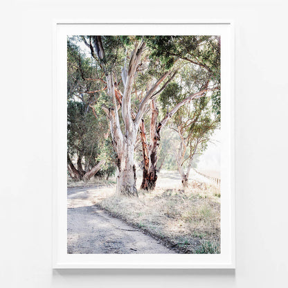 Bush Track