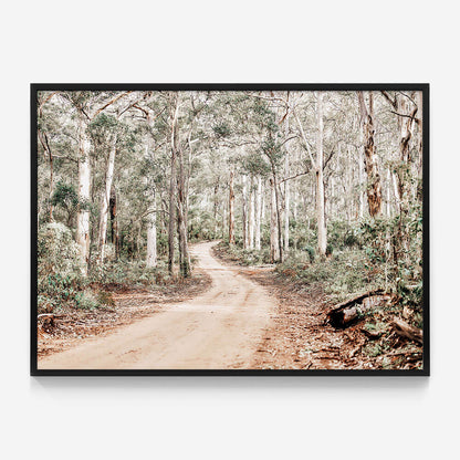 Bush Tracks