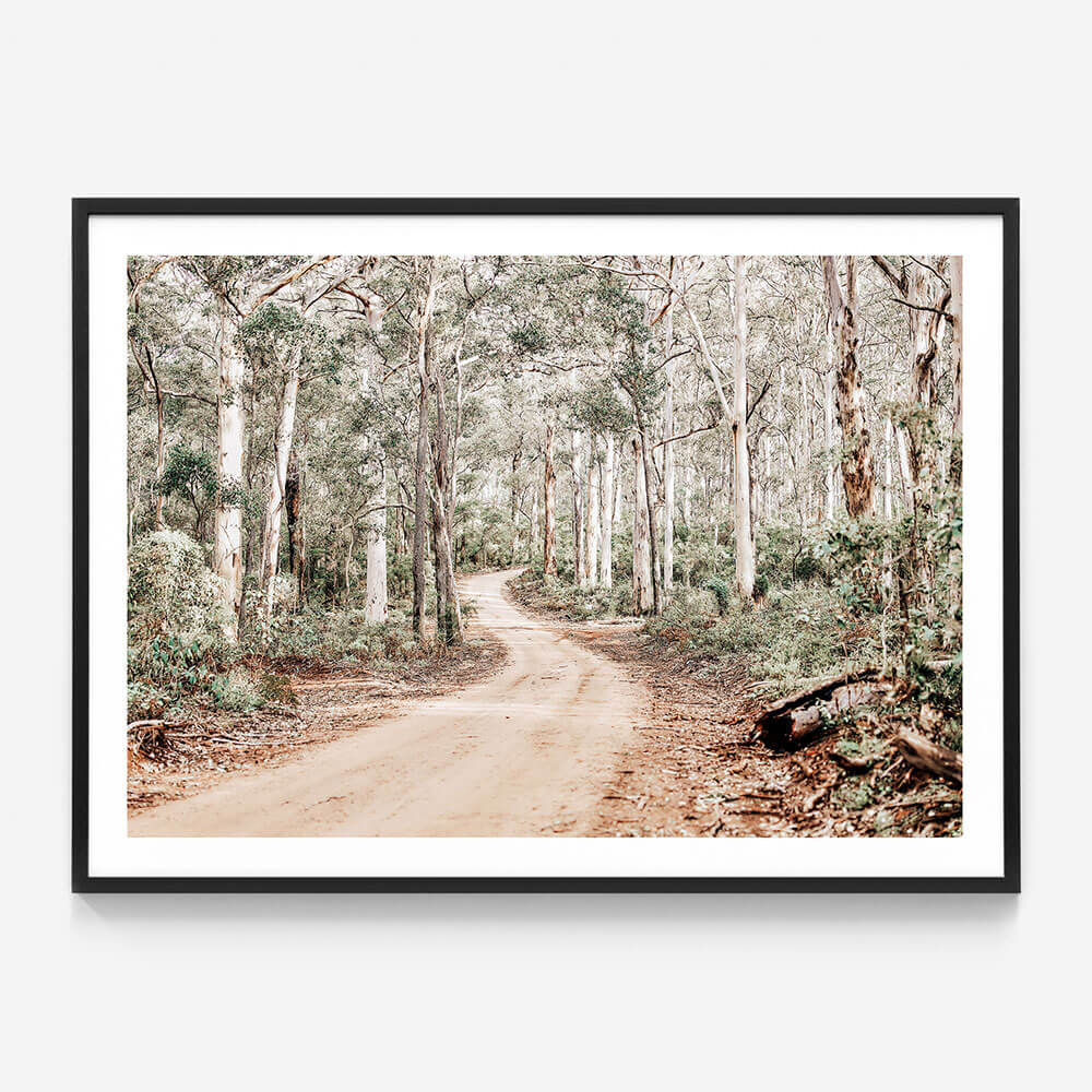 Bush Tracks
