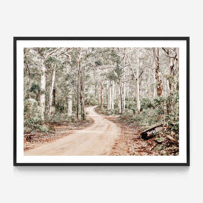 Bush Tracks