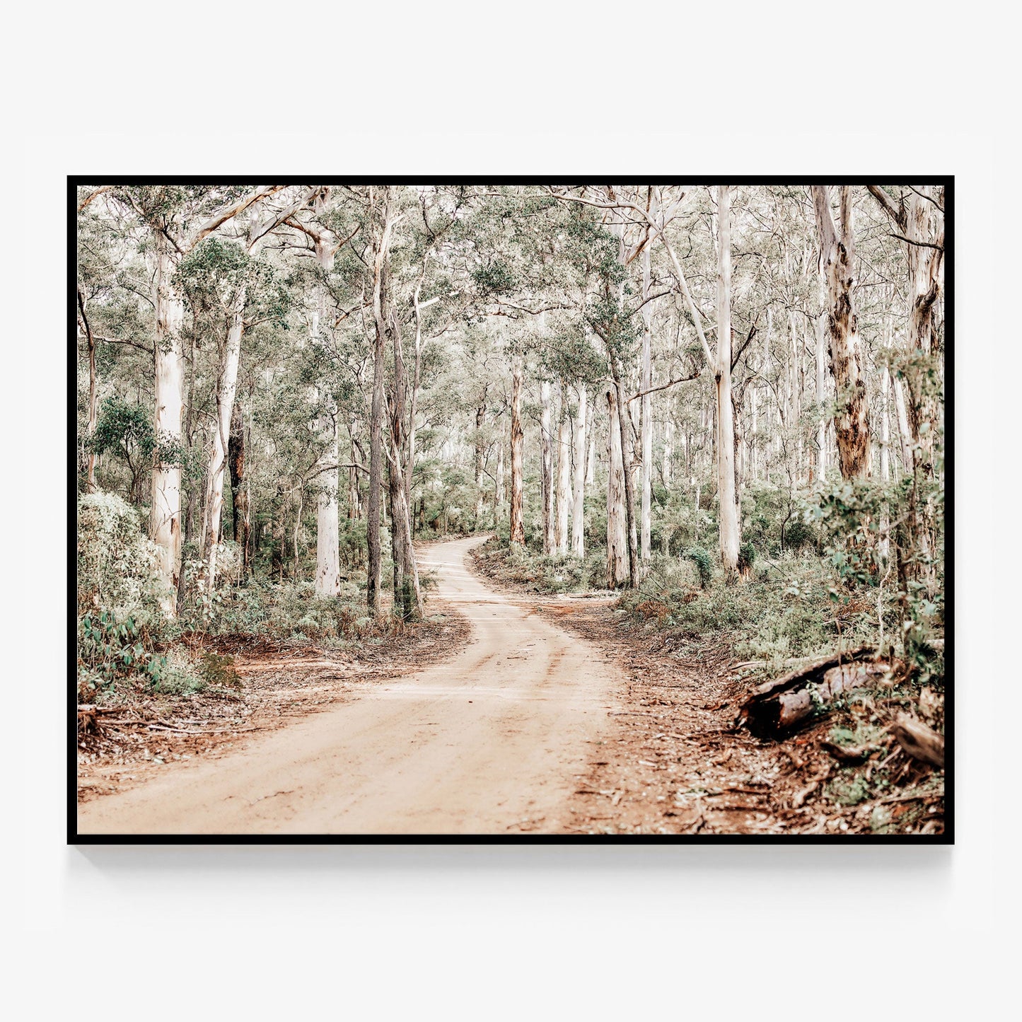 Bush Tracks Canvas