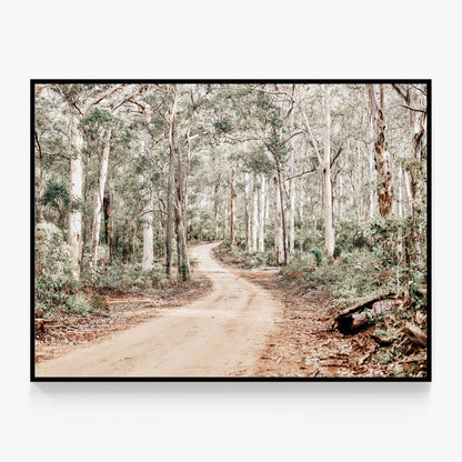Bush Tracks Canvas