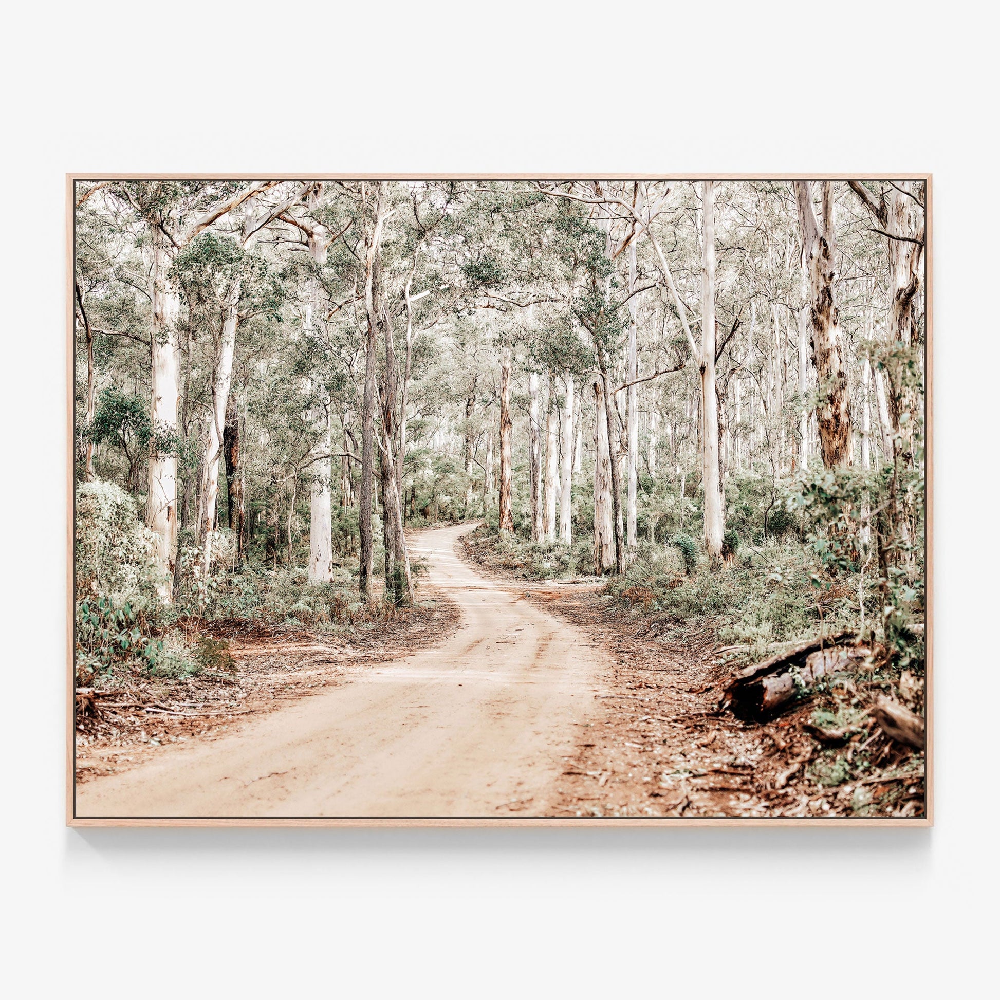 Australian Bush Tracks Canvas wall art with oak float frame art print