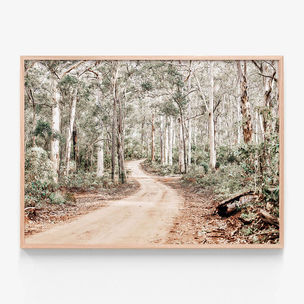 Bush Tracks