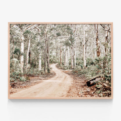 Bush Tracks