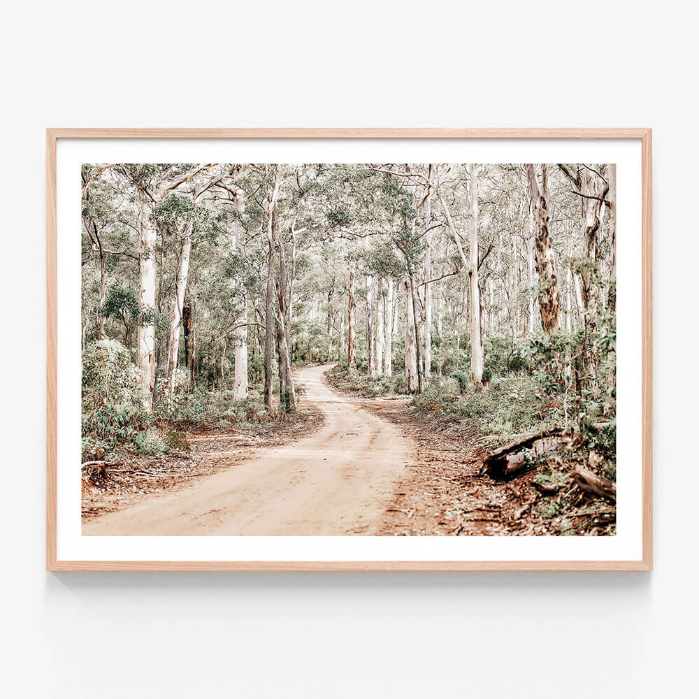 A framed photographic print of a track through the Australian bush surrounded by a forest of trees with a white border and oak frame.