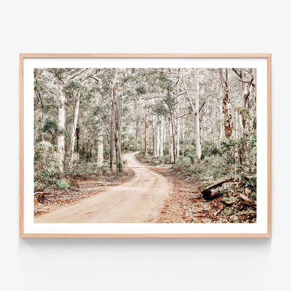 A framed photographic print of a track through the Australian bush surrounded by a forest of trees with a white border and oak frame.
