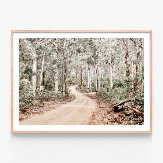 A framed photographic print of a track through the Australian bush surrounded by a forest of trees with a white border and oak frame.