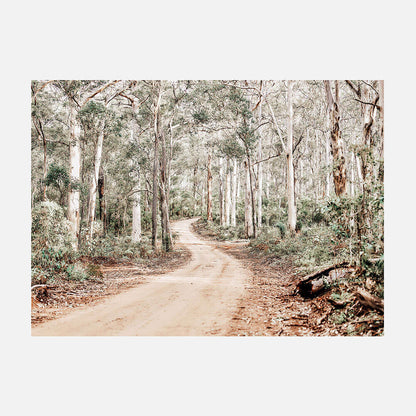 Bush Tracks