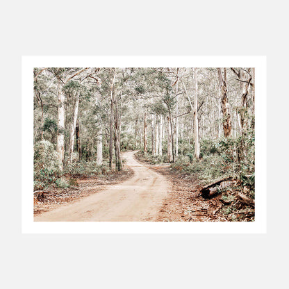 A photographic print of a bush track surrounded by a forest of gum trees.